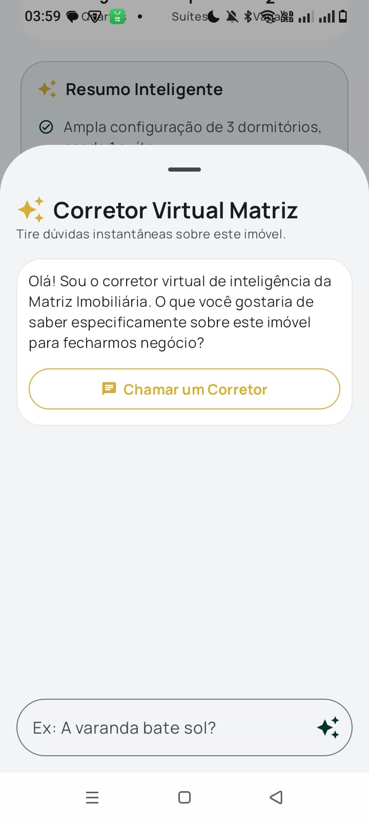 Favoritos
