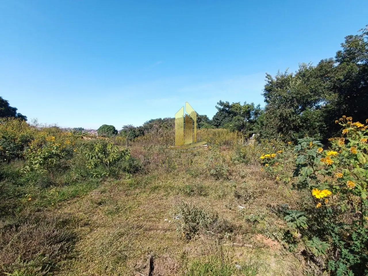 Área à venda no Recanto Capitão Heliodoro em Franca - Cód. 1633 (Foto 4) - Matriz Imobiliária