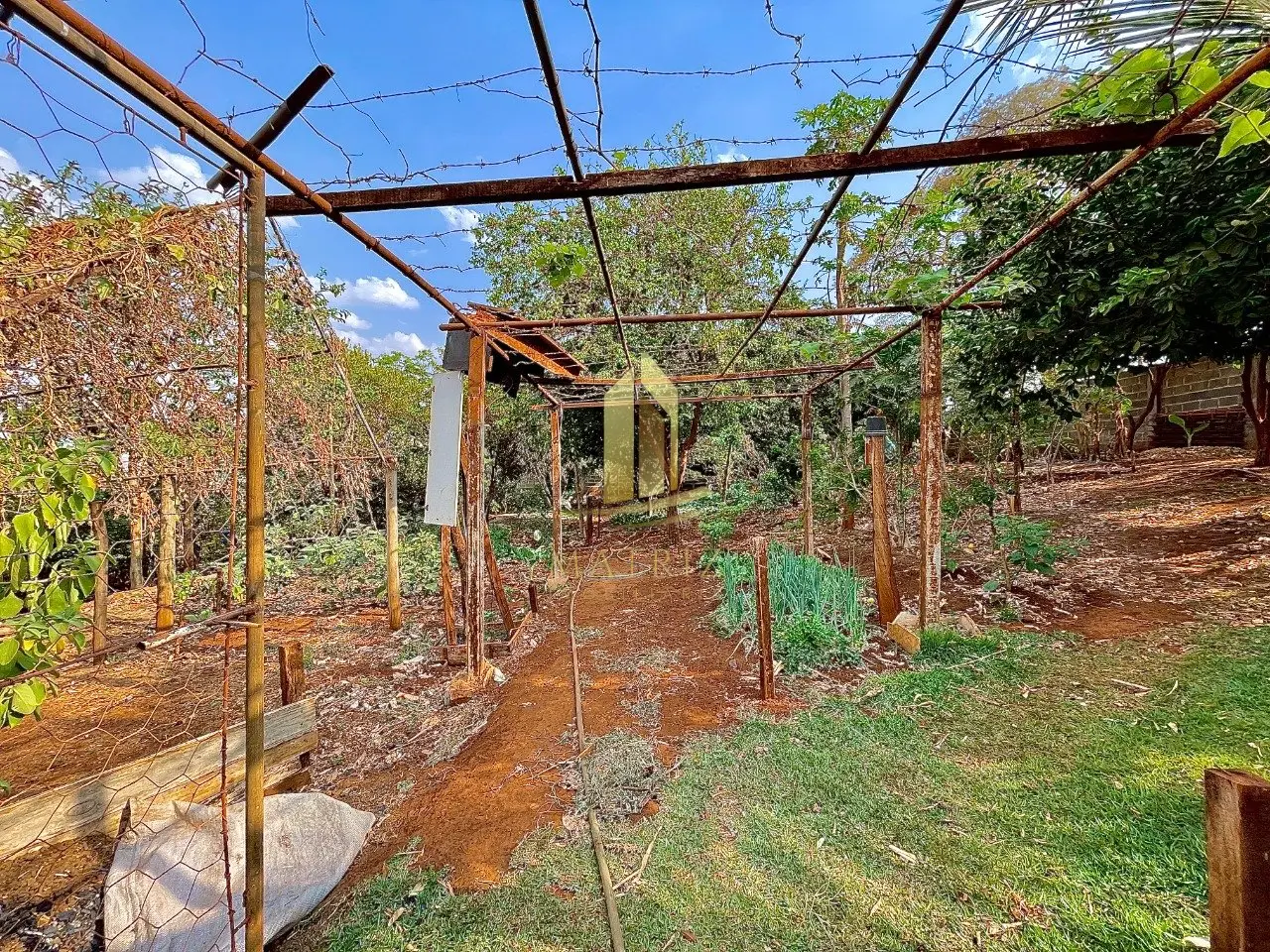Chácara à venda no São José da Bela Vista em São José da Bela Vista - Cód. 3693 (Foto 14) - Matriz Imobiliária