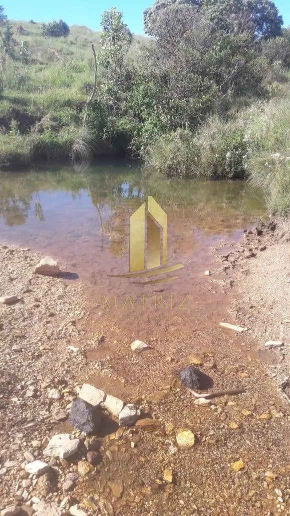 Sítio à venda no Fazenda Chapadão da Canastrinha em Delfinopolis - Cód. 4739 (Foto 3) - Matriz Imobiliária